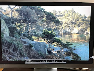 Brian Blood's Photo Reference for Point Lobos Painting