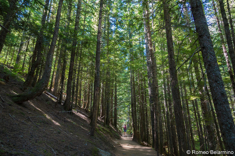 Mt. Hood National Forest Mirror Lake Trail 5 Great Hikes in Oregon’s Mt. Hood Territory