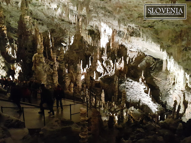 Impressive Cave Tour in Postojna Cave, Slovenia