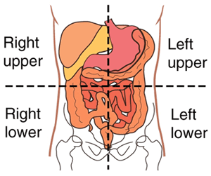 Upper right. Upper right. Right upper lobe pneumothorax. Upper right. 9 region of abdomen.