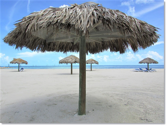 Dried palm beach umbrellas on peaceful empty beach.