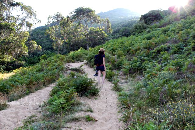 foto senda camino en playa berria