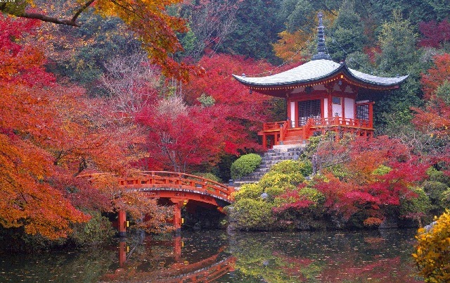 Japanese Tea Gardens with bridge