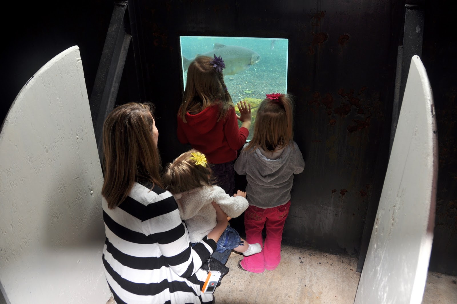 Olympic game park in sequim