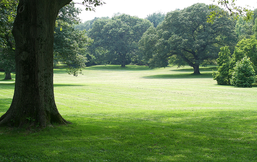 Yin / Yang in the Garden - A Landscape Design Tip