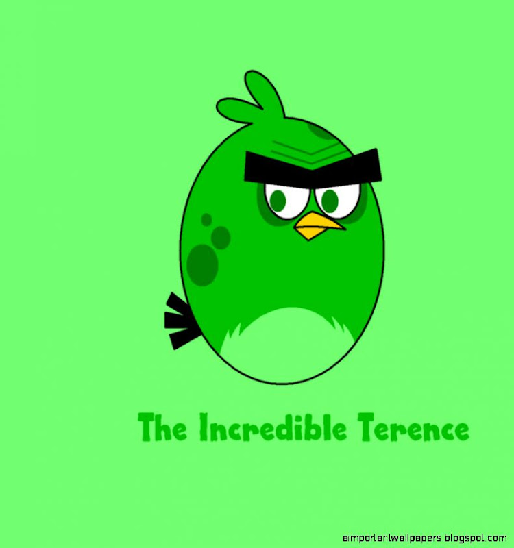 Angry Birds Space   The Incredible Terence by worldofcaitlyn on