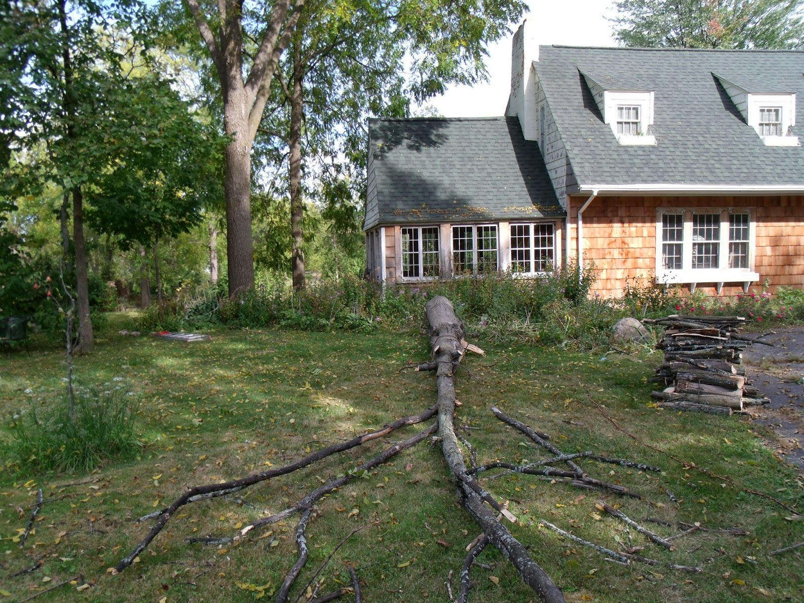 Gear Acres at Top of the Hill If a tree falls in your yard.....