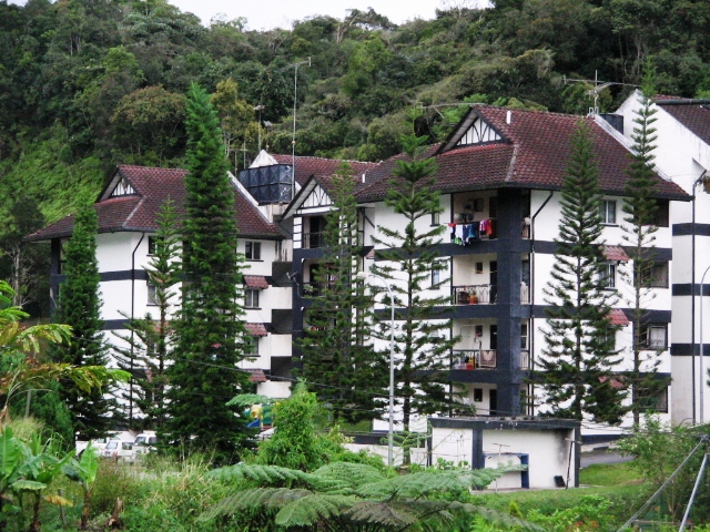 Essay holiday with family at cameron highland image