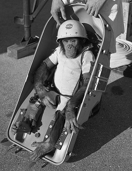 JFK 50 US LAUNCHED CHIMP INTO SPACE 52 YEARS AGO TODAY jfk-50-us-launched-chimp-into-space-52-years-ago-today