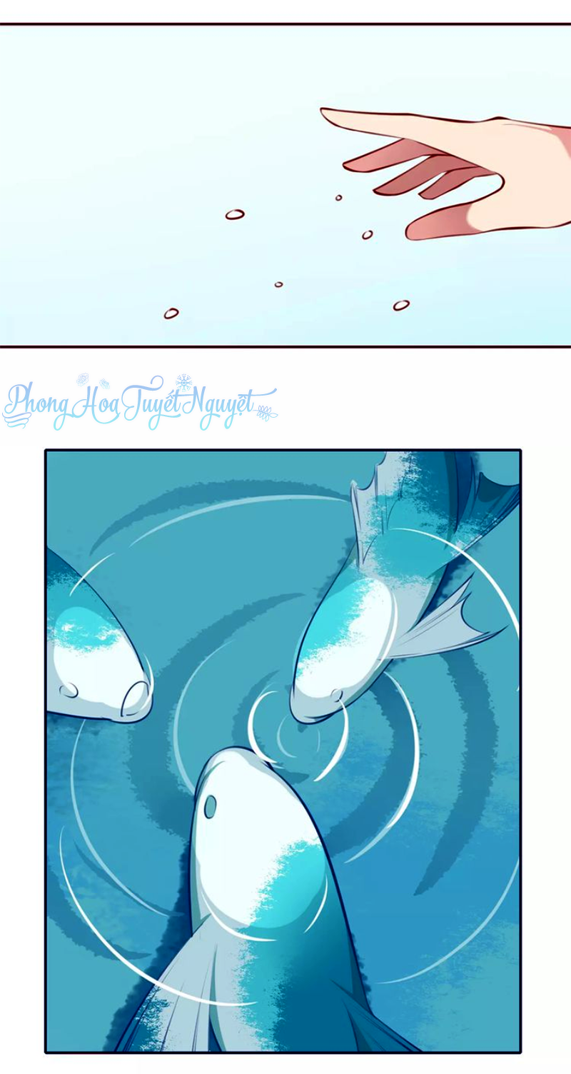 Cẩm Lý Quy - Chương 11 - Trang 22