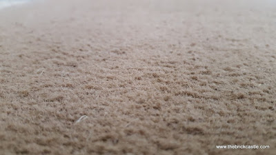 Air Ram K9 review carpet close up