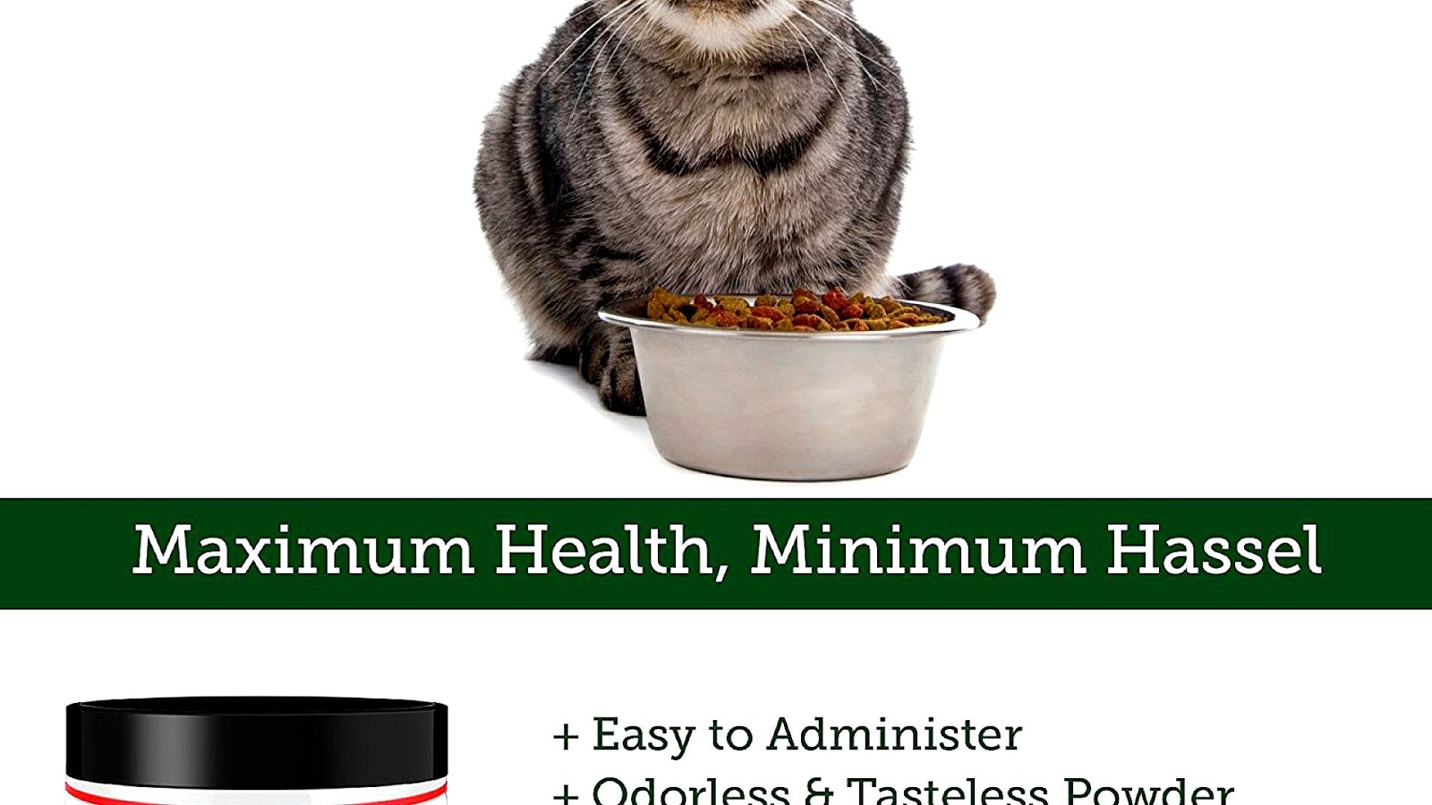 Cat Food With Probiotics Cat Choices