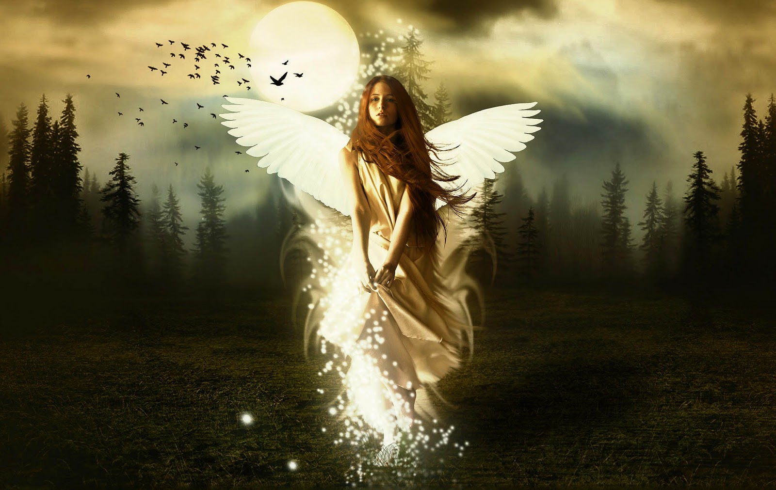 Best Desktop HD Wallpaper - Angel Photo Wallpapers