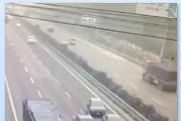 شاهد بالفيديو كيف نجت الاغنام وثم دهس البشر في طريق سريع