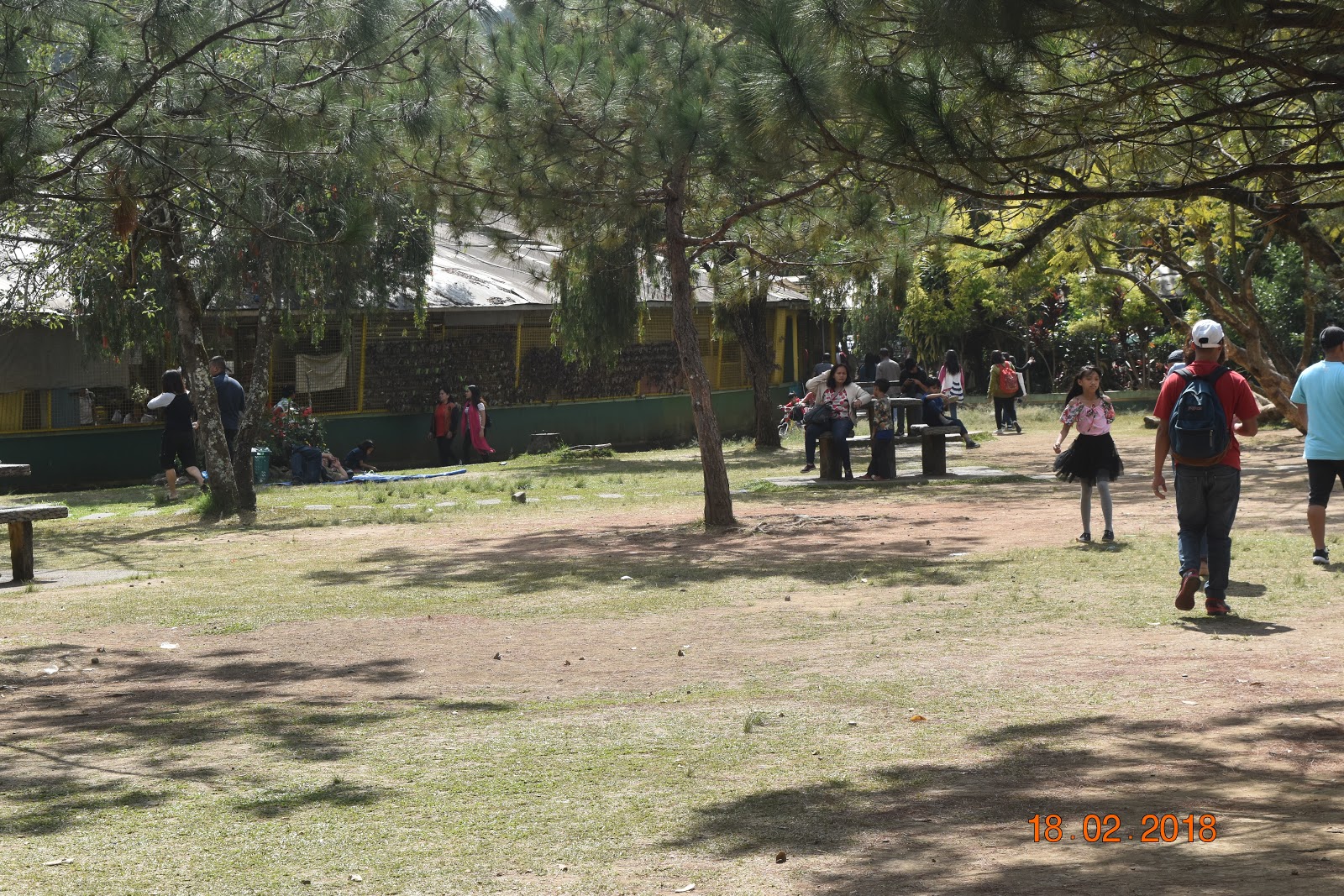 Surviving with Sharon, Alecz, and Athena PARKS OF BAGUIO CITY THE