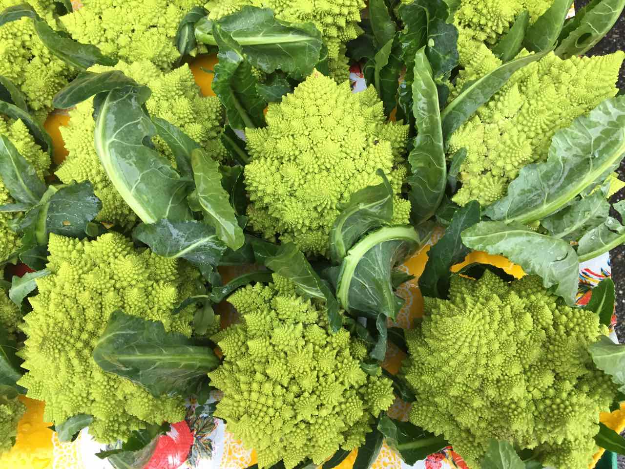 DJanity Finding my way forward DJanity Finding my way forward