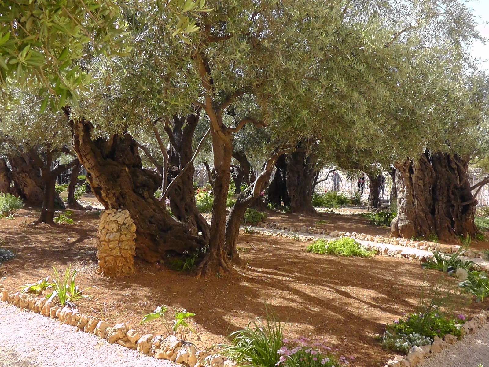 Mount Zion 2012 Come go up to theThe Mount of Olives and Garden of Gethsemane!