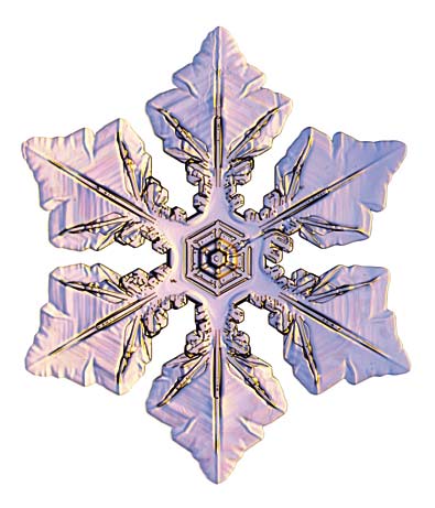 Winner Ford Dover De >> Ms.Reynolds Classroom Canvas: Snowflake Symmetry Winner Ford Dover De >> Ms.Reynolds Classroom Canvas: Snowflake Symmetry