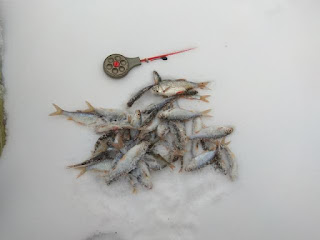 рыбалка в Мырне в 2019 году