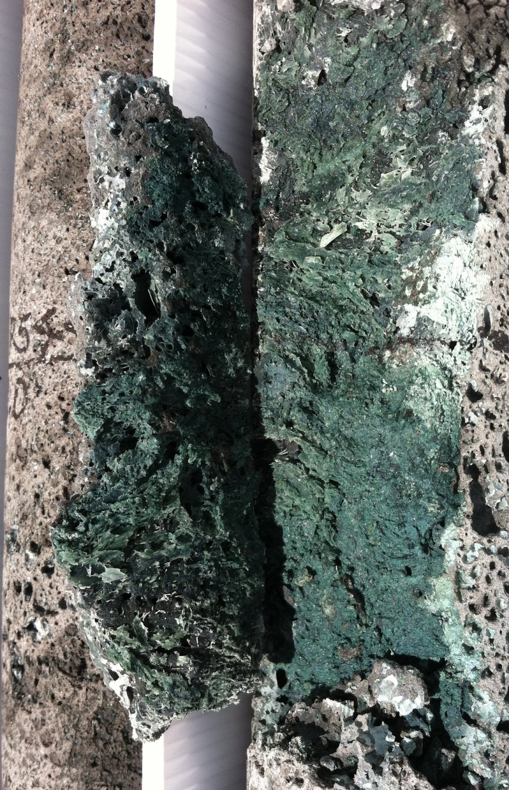 Humuʻula Groundwater Research Project (HGRP): Processed to 4886 feet ...