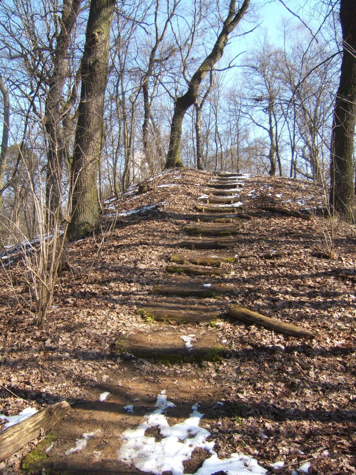 Altes und Neues von Bernd Nowack, Dessau Die Dessauer Wallwitzburg ist