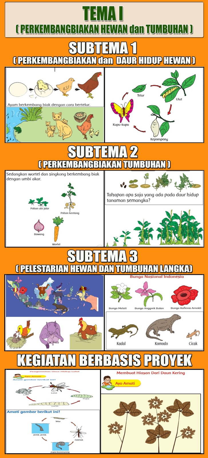 GAMBAR TEMA KELAS 3 SEMESTER 1 DAN 2 KURIKULUM 2013 Guru