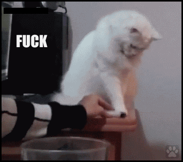 Captioned Cat GIF • Hilarious jerk Cat knocking everything over. Fuck all these things haha Captioned Cat GIF • Hilarious jerk Cat knocking everything over. Fuck all these things haha