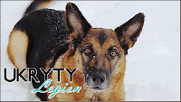 www.ukryty-legion.blogspot.com
