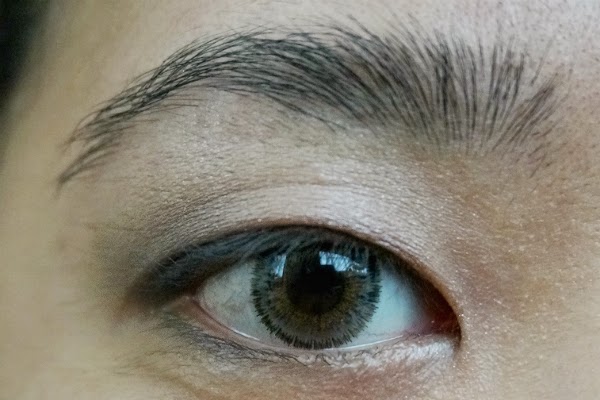 Maybelline Expert Wear Eyeshadow in 10Q Mocha Motion