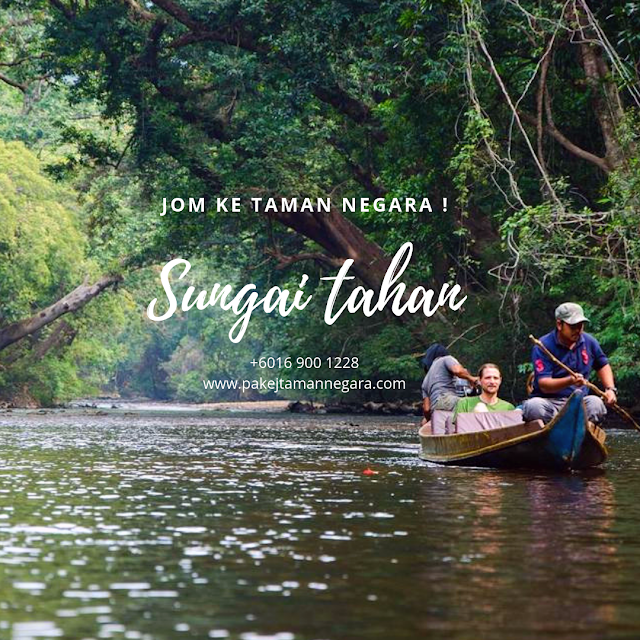 2 hari 1 malam , Pakej murah Pahang, Pakej Percutian Murah Taman Negara