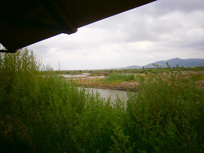 Zona de observación de aves de La Marjal dels Moros, Humedal perteneciente a Puçol y Sagunto, Comunidad Valenciana, España