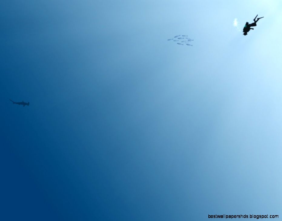 100 Awesome Minimalist Wallpapers