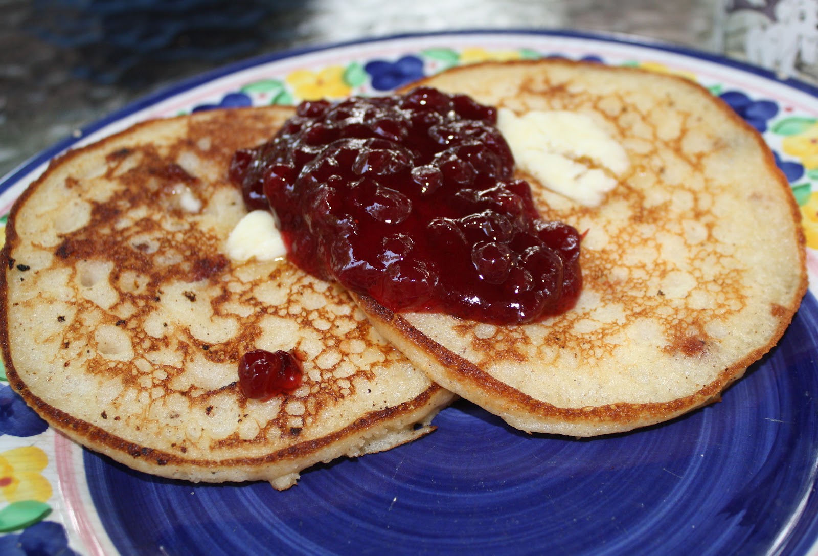 bearded-dragon-pancake-image-3