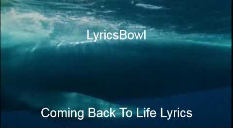 Coming Back To Life Lyrics - Pink Floyd | LyricsBowl Coming Back To Life Lyrics - Pink Floyd | LyricsBowl
