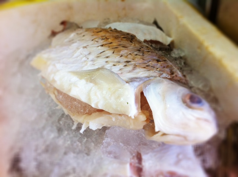 The Silver Chef Zai Shun Curry Fish Head at Jurong East Me