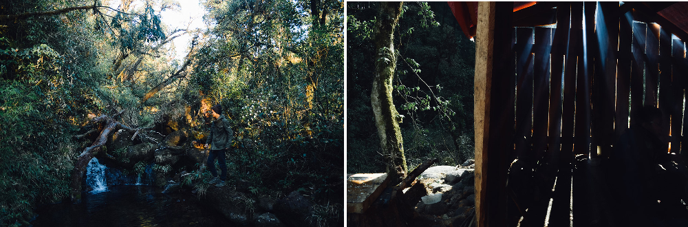 Trekking đỉnh Putaleng và tận hưởng dư vị huyền bí đậm chất núi rừng