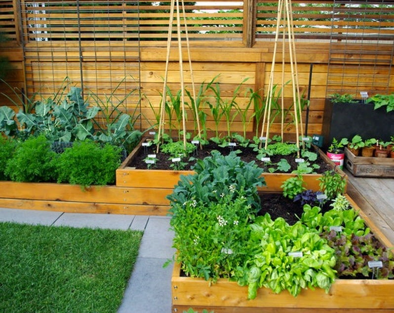 Small Vegetable Garden Design Ideas - Home Design Inside