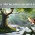 $2.99 worth game Flowing ~ Meditation & Mindfulness is Apple’s free app of the week