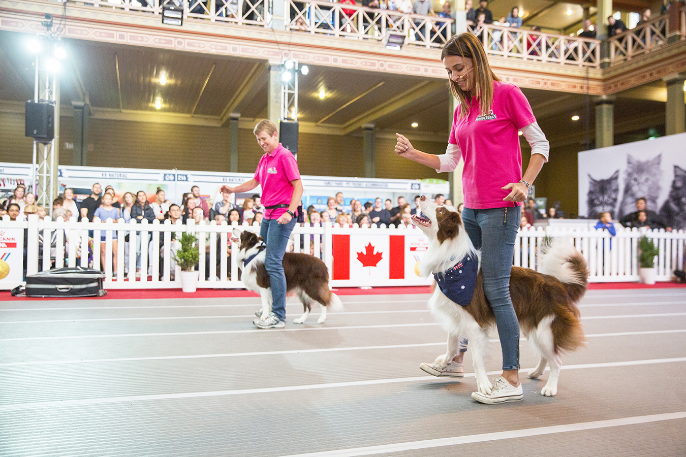 Melbourne Dog Lovers Show 2019 May 3 to 5 Australian Dog Lover