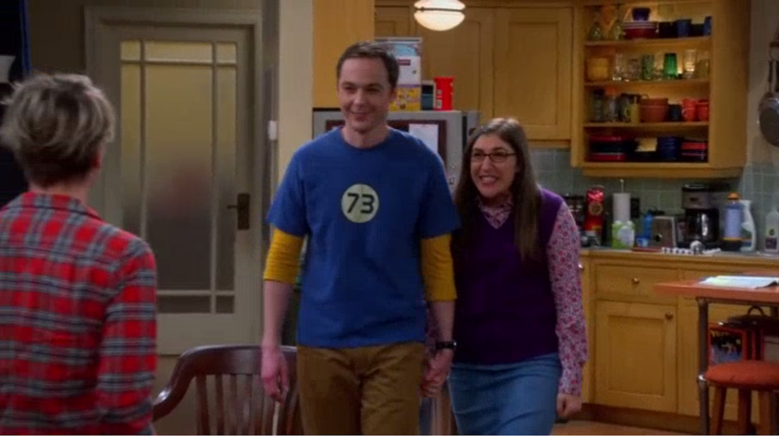 The Big Bang Theory - The Colonization Application - Review