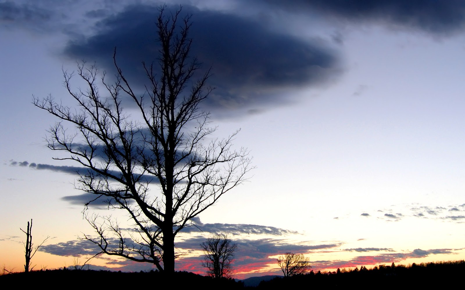 Collection HD Wallpapers | widescreen wallpaper | widescreen wallpaper