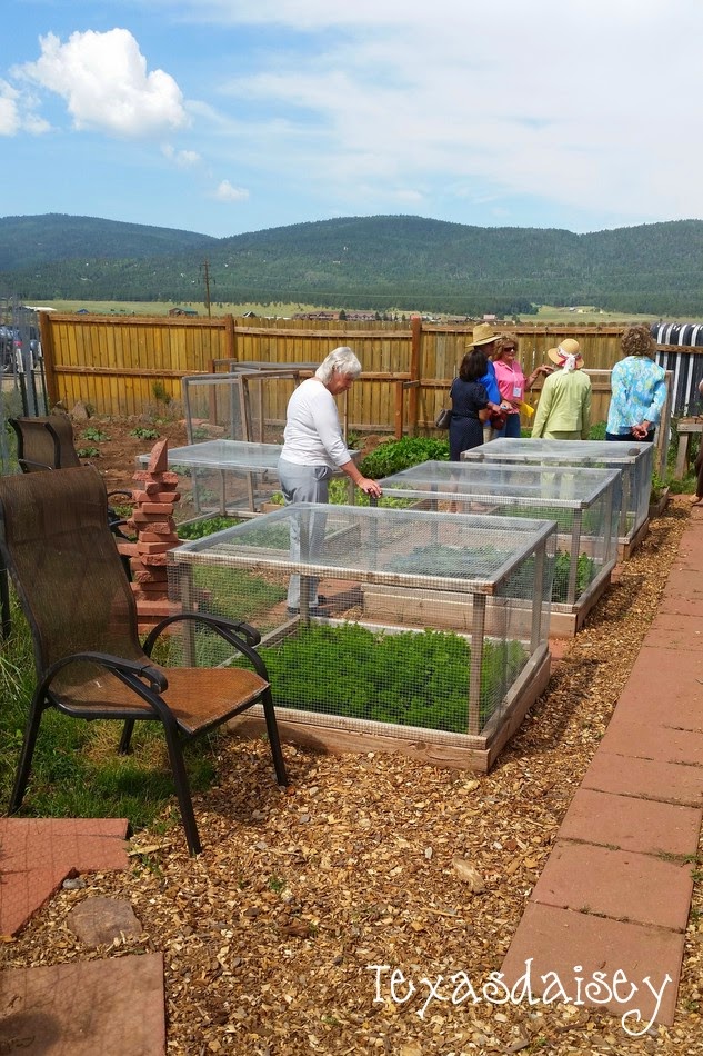 Texasdaisey Creations Upcycling And Vegetable Gardening In The