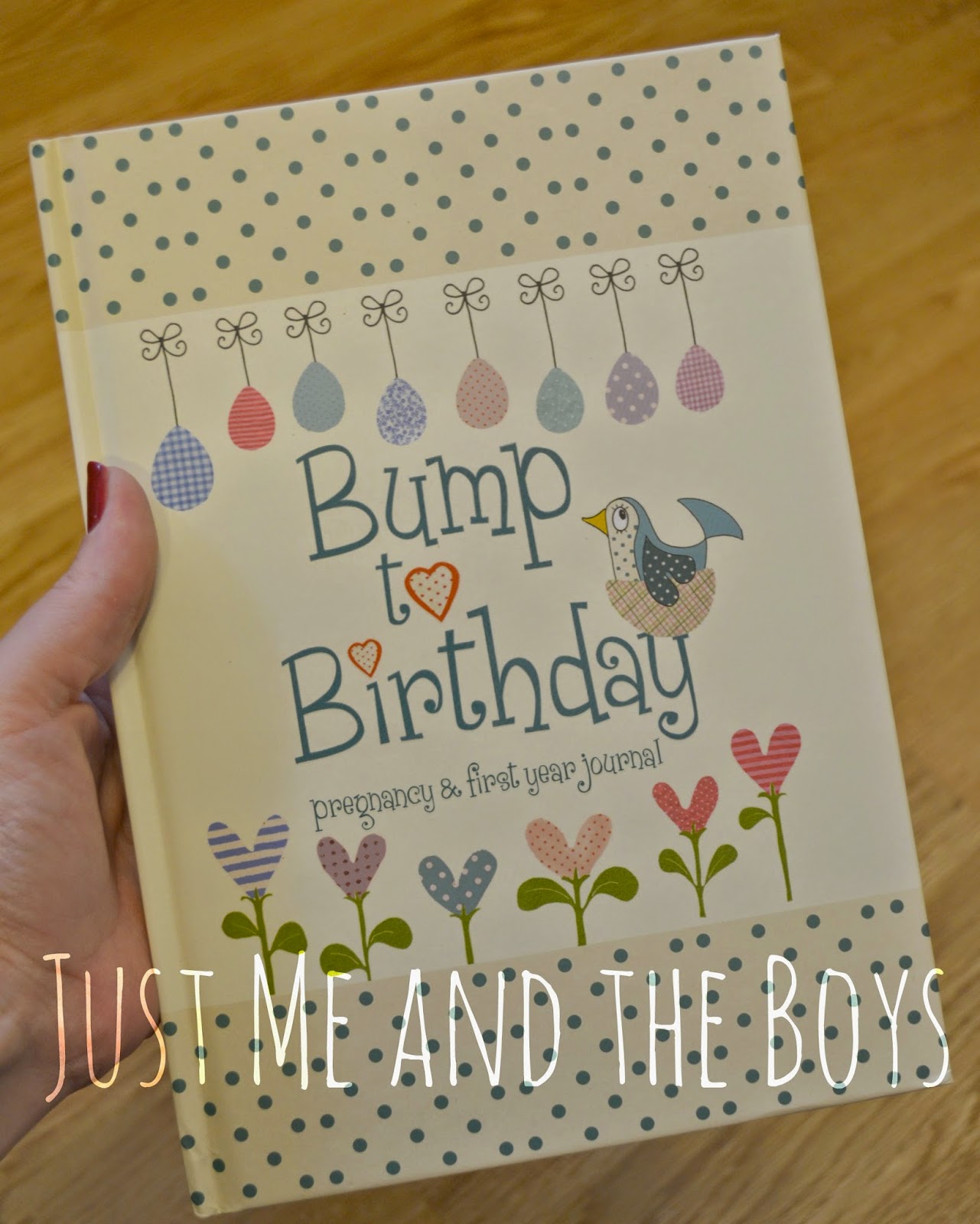 Just Me and the Boys Bump to Birthday Journal Your Pregnancy and