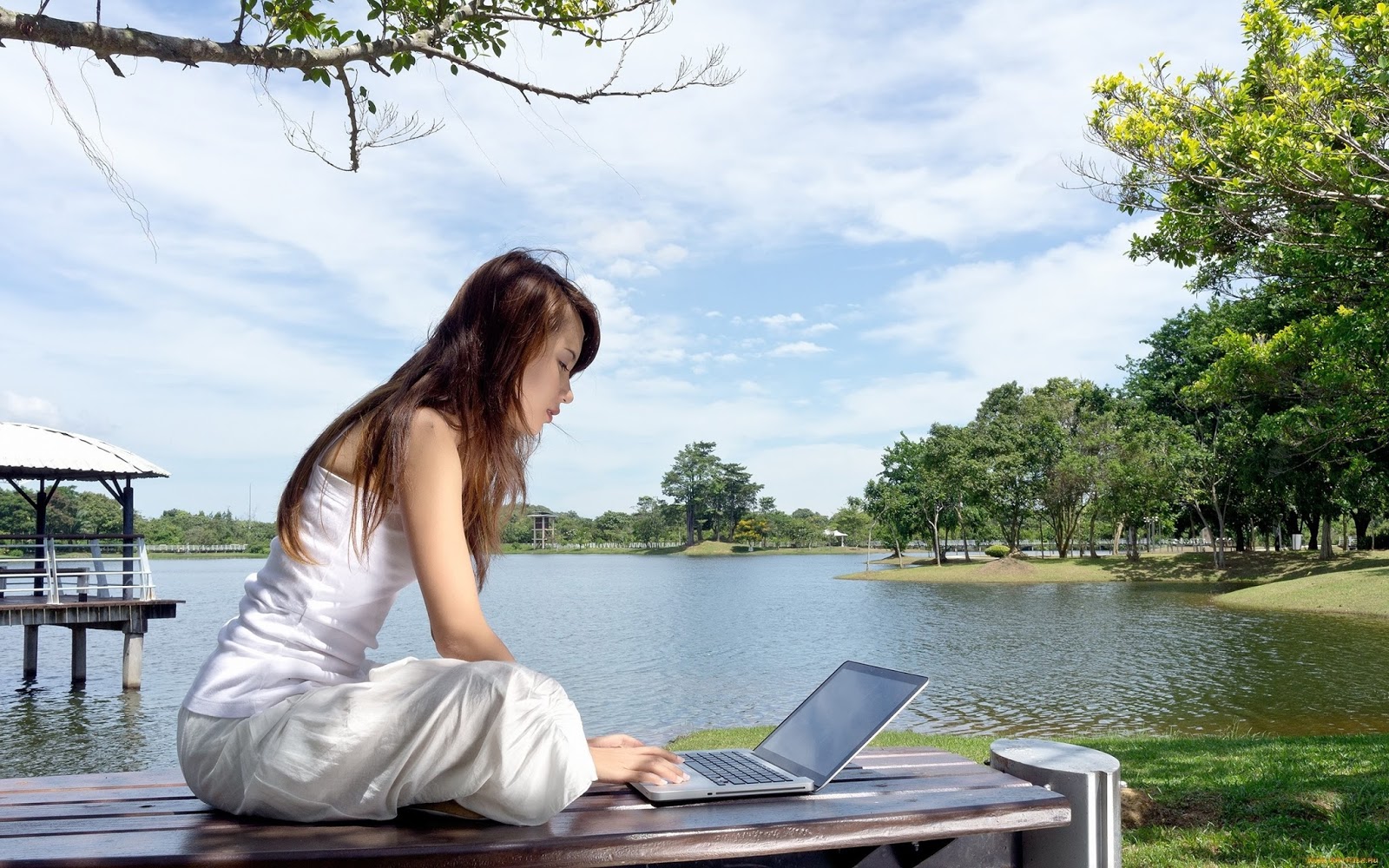 Fujitsu + Toshiba + Vaio: a union in Japanese notebooks
