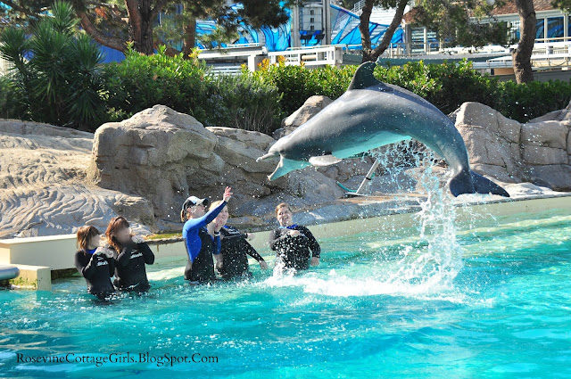 Women standing in hip deep water and a dolphin splashing them with its tail.