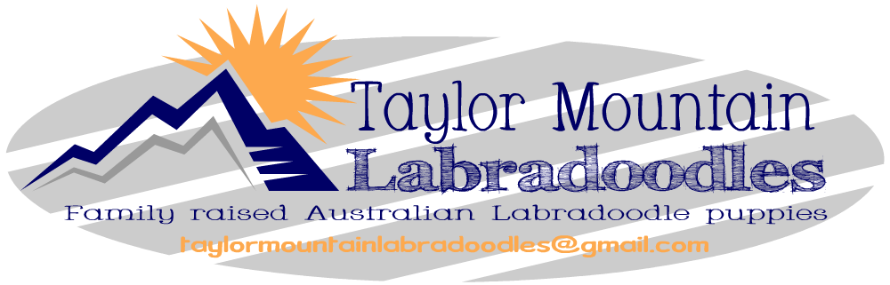 Taylor Mountain Labradoodles
