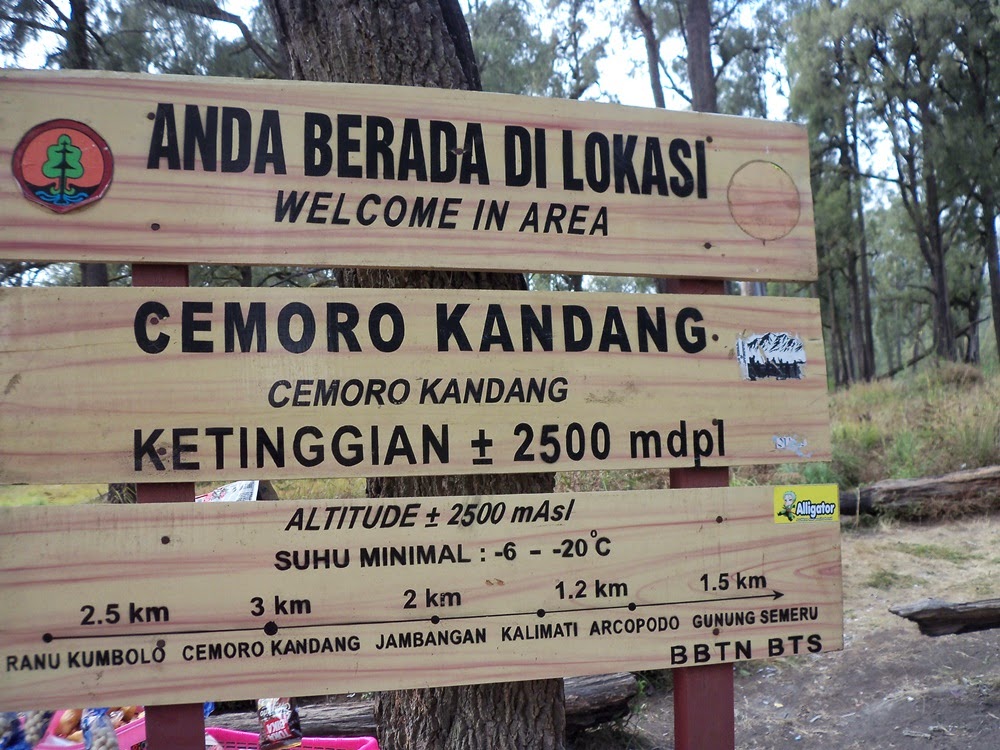 Megahnya Gunung Semeru Jelajah Nusantara