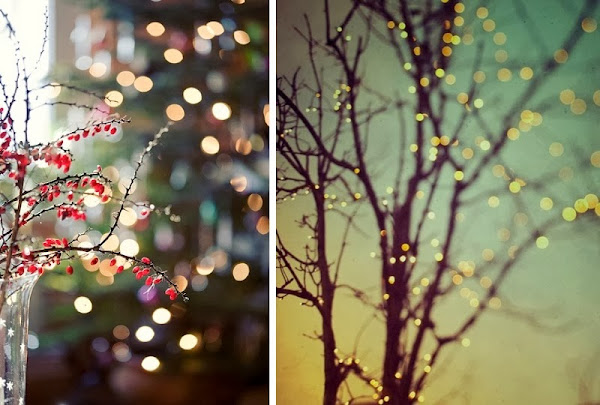 ramas con luces para navidad
