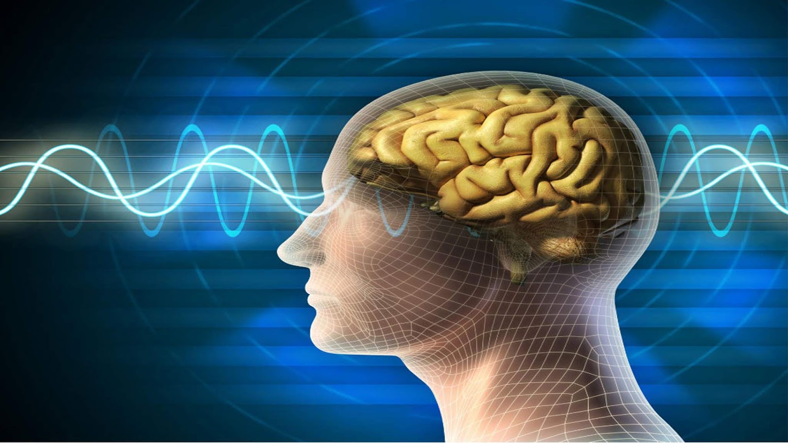 The Shock And Live Approach Links AMPK To Alzheimer s Progeria HIV The Shock And Live Approach Links AMPK To Alzheimer s Progeria HIV