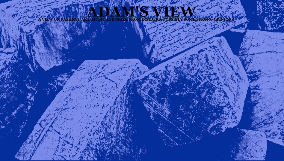 ADAM 'S VIEW